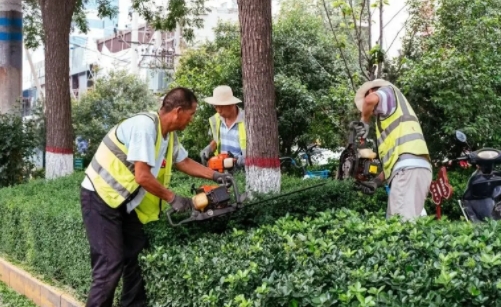 綠化養護的市場前景怎么樣？